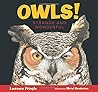 Owls! Strange and...
