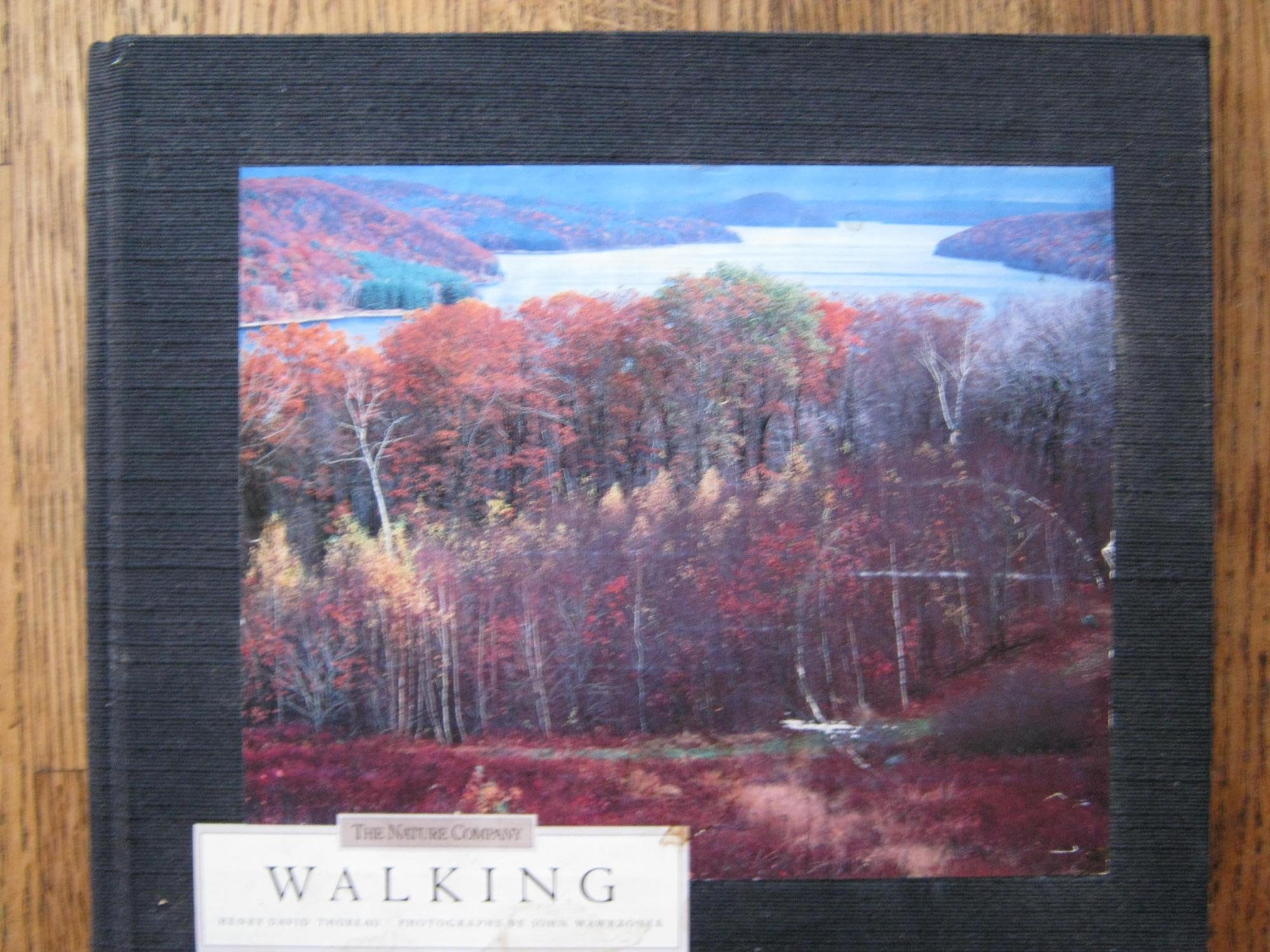 Walking, An abridgement of the essay by Henry David Thoreau