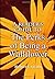 [A Reader's Guide to The Perks of Being a Wallflower] [By: Crayola, Robert] [May, 2014]