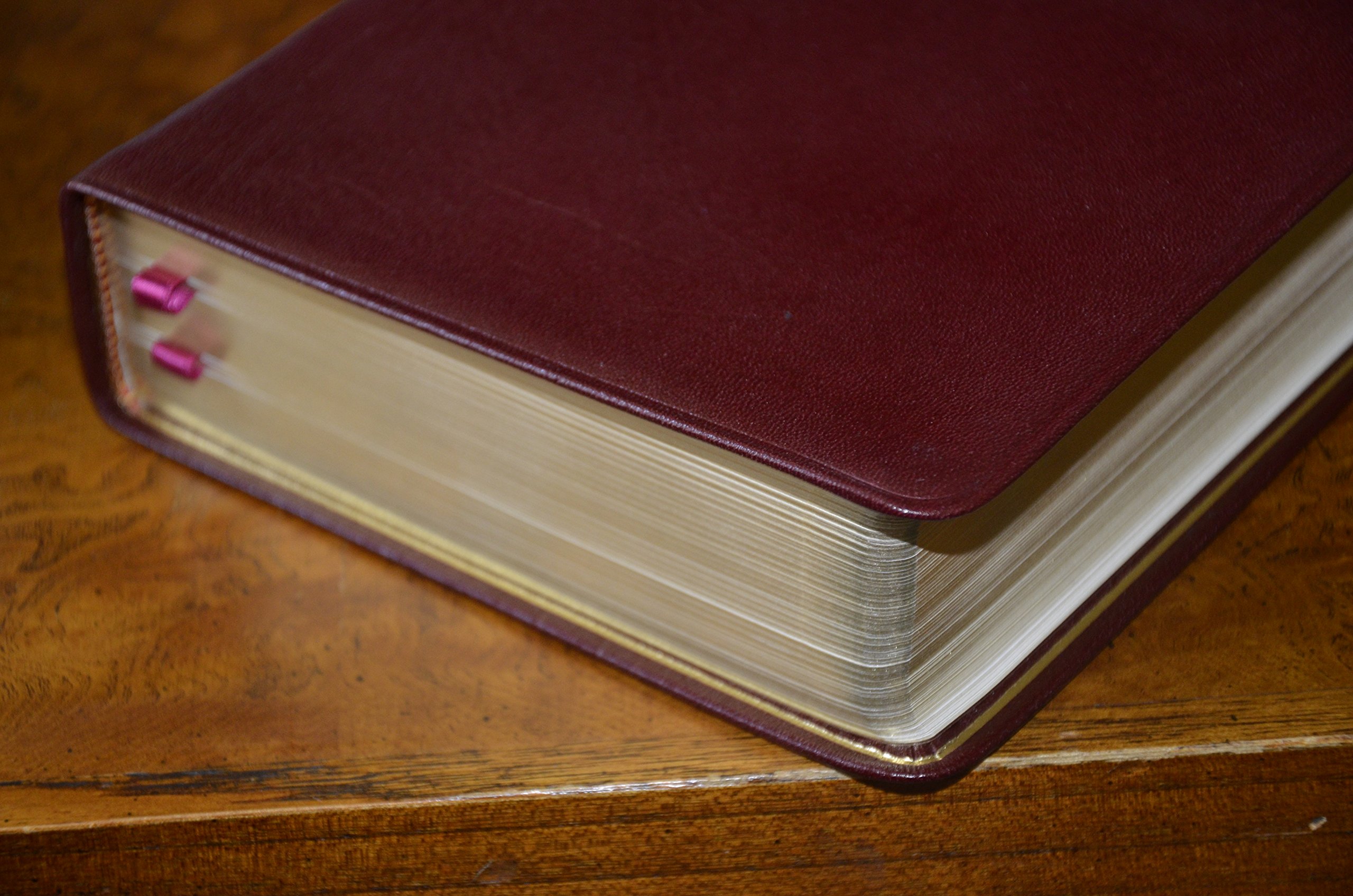 The New Oxford Annotated Bible W/Apocrypha