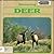 Discovering Deer (Discovering Nature)