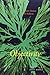 Objectivity by Lorraine J. Daston (2010-11-05)