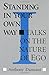 Standing in Your Own Way: Talks on the Nature of EGO by Anthony J. Damiani (1992-10-01)