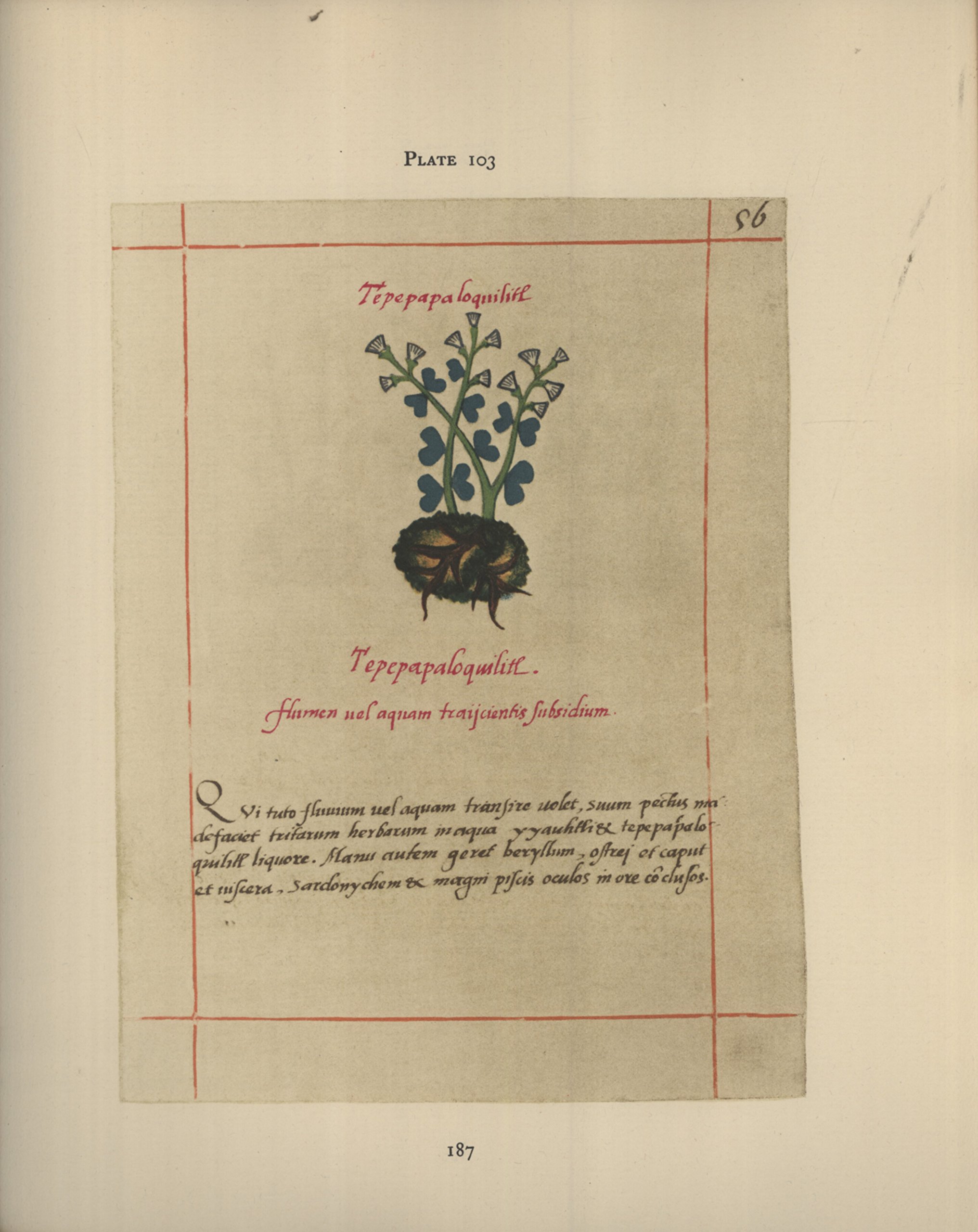 The Badianus manuscript : an Aztec herbal of 1552 (Hardcover)