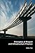 Principles of Project and Infrastructure Finance by Willie Tan (2007-06-21)