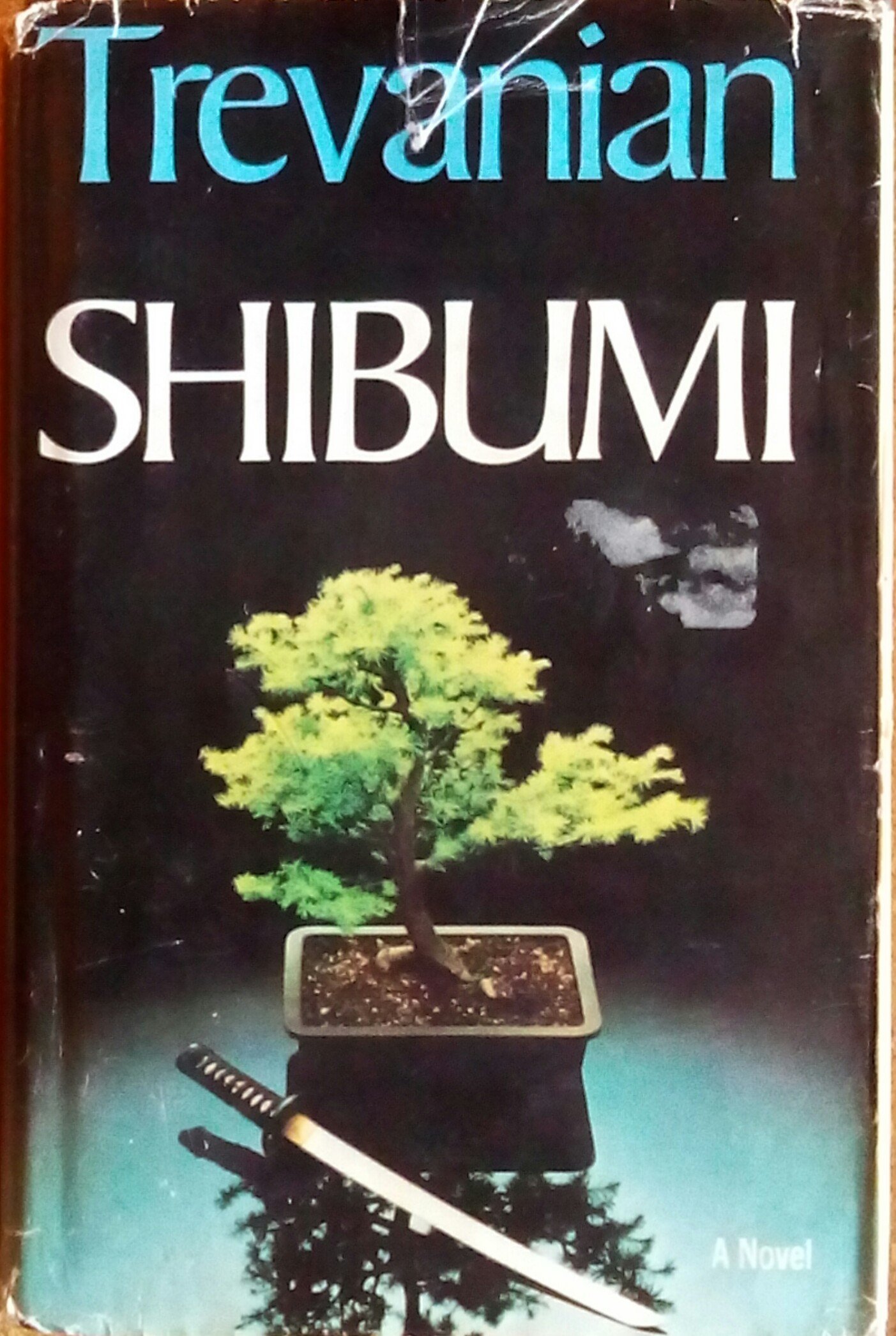 Shibumi