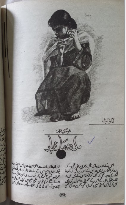 Dil Na Mane Haar / دل نہ مانے ہار (ebook)