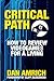Critical Path: How to Review Videogames for a Living by Dan Amrich (2012-02-15)