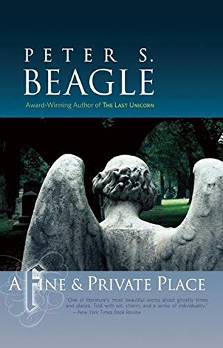 A Fine andamp; Private Place Beagle, Peter S ( Author ) May-28-2007 Paperback