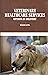 Veterinary Healthcare Servi...