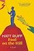 Fool on the Hill: A Novel by Matt Ruff(2005-09-28)