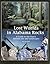 Lost Worlds in Alabama Rocks: A Guide