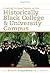 Creating Personal Success on the Historically Black College and University Campus by Fiore Douglas J. Hill W. Weldon (2011-05-02) Paperback