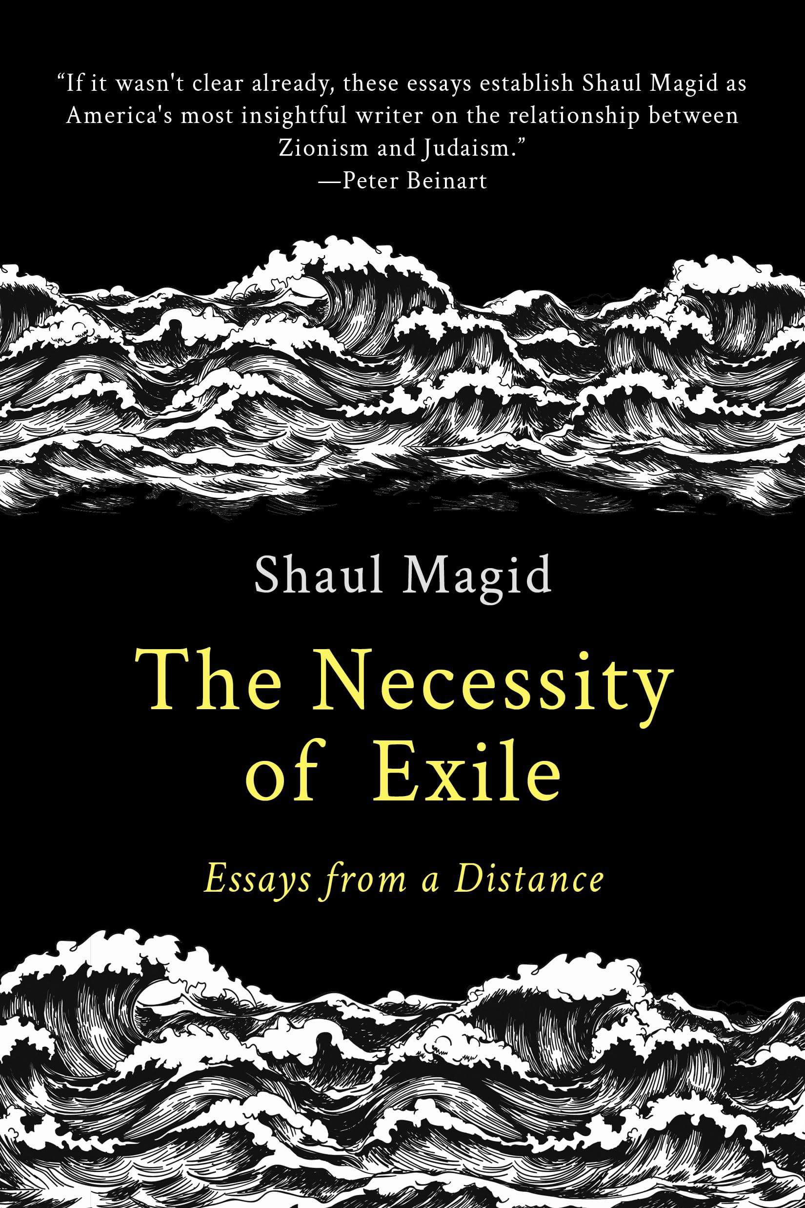 The Necessity of Exile: Essays from a Distance (Kindle Edition)