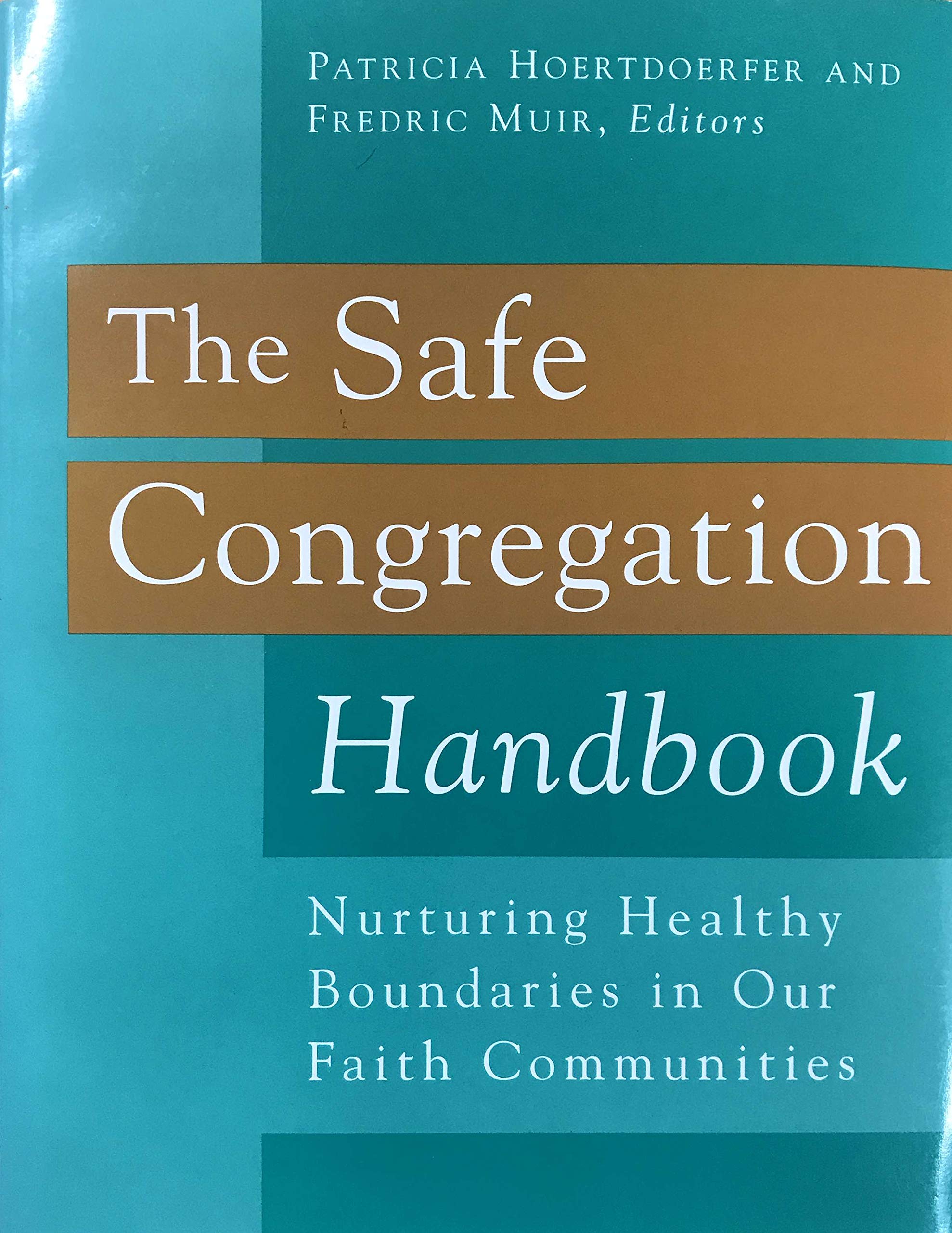 The Safe Congregation Handbook:Nurturing Healthy Boundaries in Our Faith Communities (Paperback)