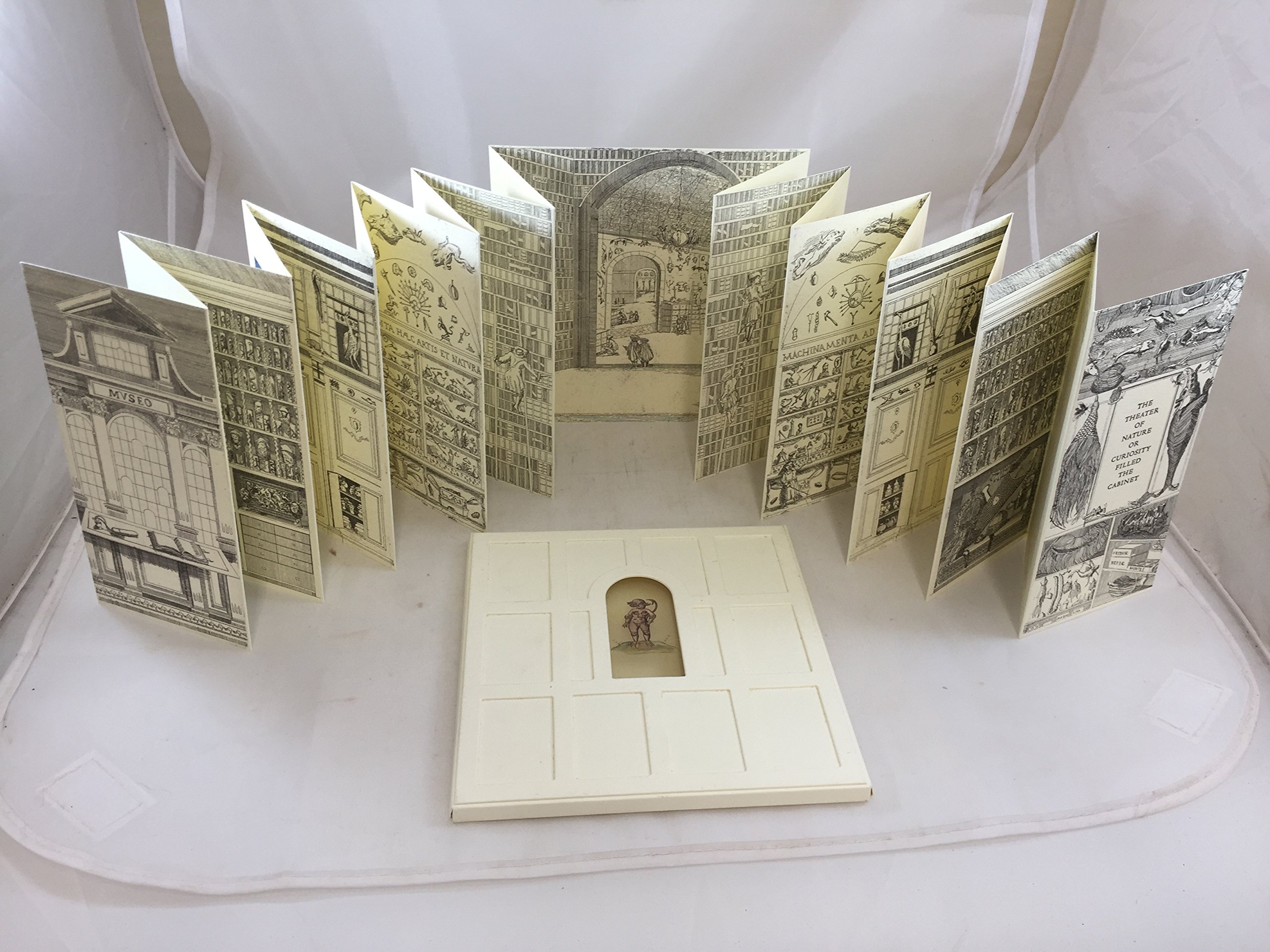 The Theater of Nature or Curiosity Filled the Cabinet (Paperback)