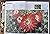 The Illustrated Encyclopedia of Succulents by Gordon Rowley