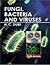 Fungi, Bacteria and Viruses by Dube HC