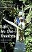 Life in the Treetops  by Margaret D. Lowman