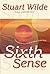 Sixth Sense: Including the Secrets of the Etheric Subtle Body by Wilde, Stuart (2004) Paperback