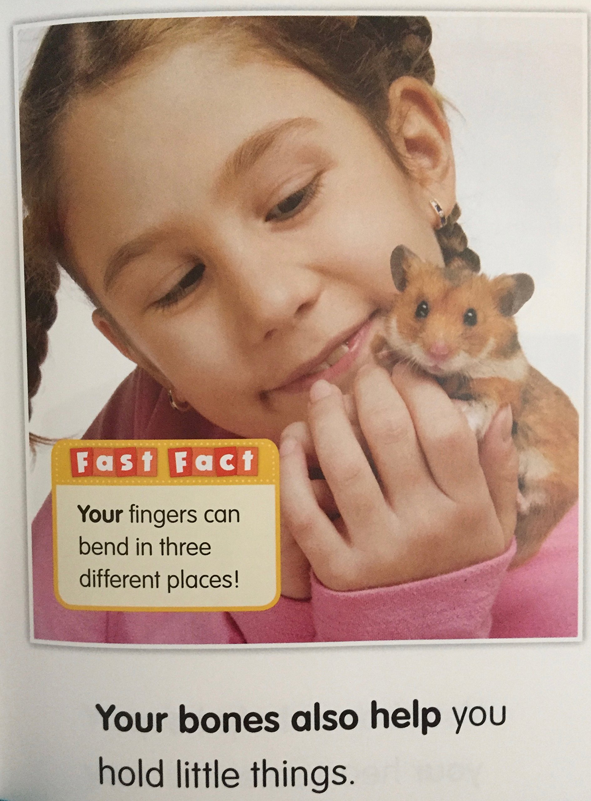 Science Sight Word Readers 6-Book Set: “Brain”, “Bones”, “Skin”, “Five Senses”, “Heart” & “Muscles.” (Staple Bound)