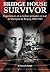 Bridge House Survivor: Experiences of a Civillian Prisoner of War in Shanghai & Beijing 1942-1945 by Henry F. Pringle (7-Apr-2011) Paperback