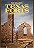 Ray Miller's Texas Forts: A...