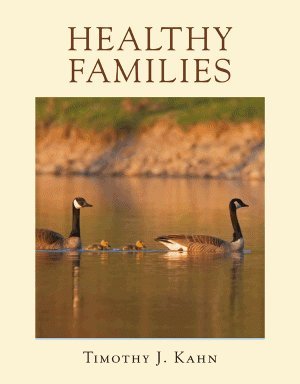 Healthy Families A Guide for Parents of Children and Adolescents with Sexual Behavior Problems (Paperback)