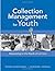 Collection Management for Youth: Responding to the Needs of Learners by Sandra Hughes-Hassell (2005-02-01)