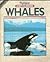 Whales (Highlights Animal Books)