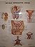 The Male Reproductive Syste...