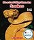 It's a Good Thing There Are Snakes (Rookie Read-About Science) by Lisa M. Herrington (2014-09-03)