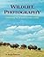 Wildlife Photography: Getting Started in the Field (v. 2) by B. Moose Peterson (1998-03-24)