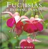 Fuchsias and Bedding Plants Fuchsias and Bedding Plants