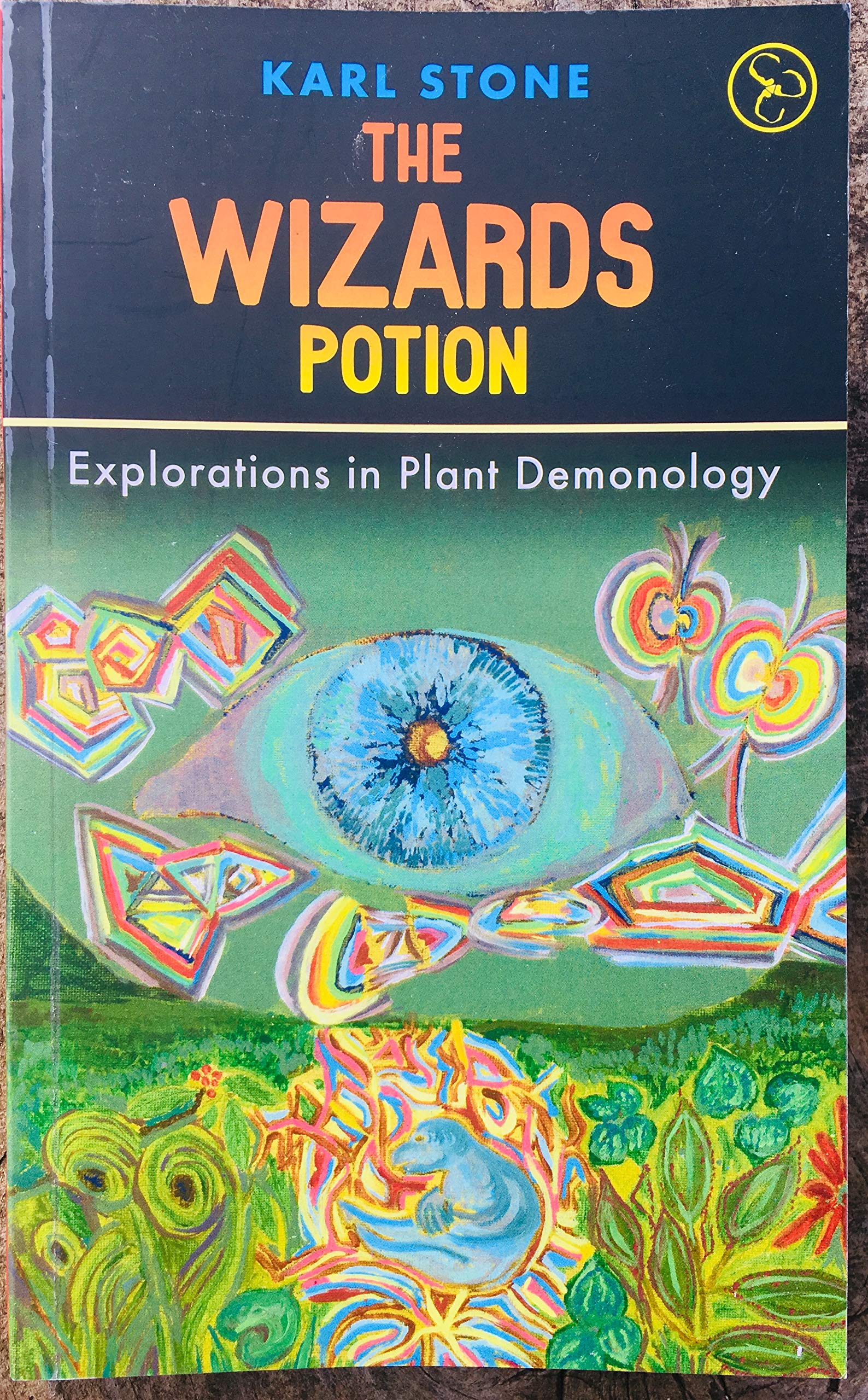 THE WIZARDS POTION: EXPLORATIONS IN PLANT DEMONOLOGY (Paperback)