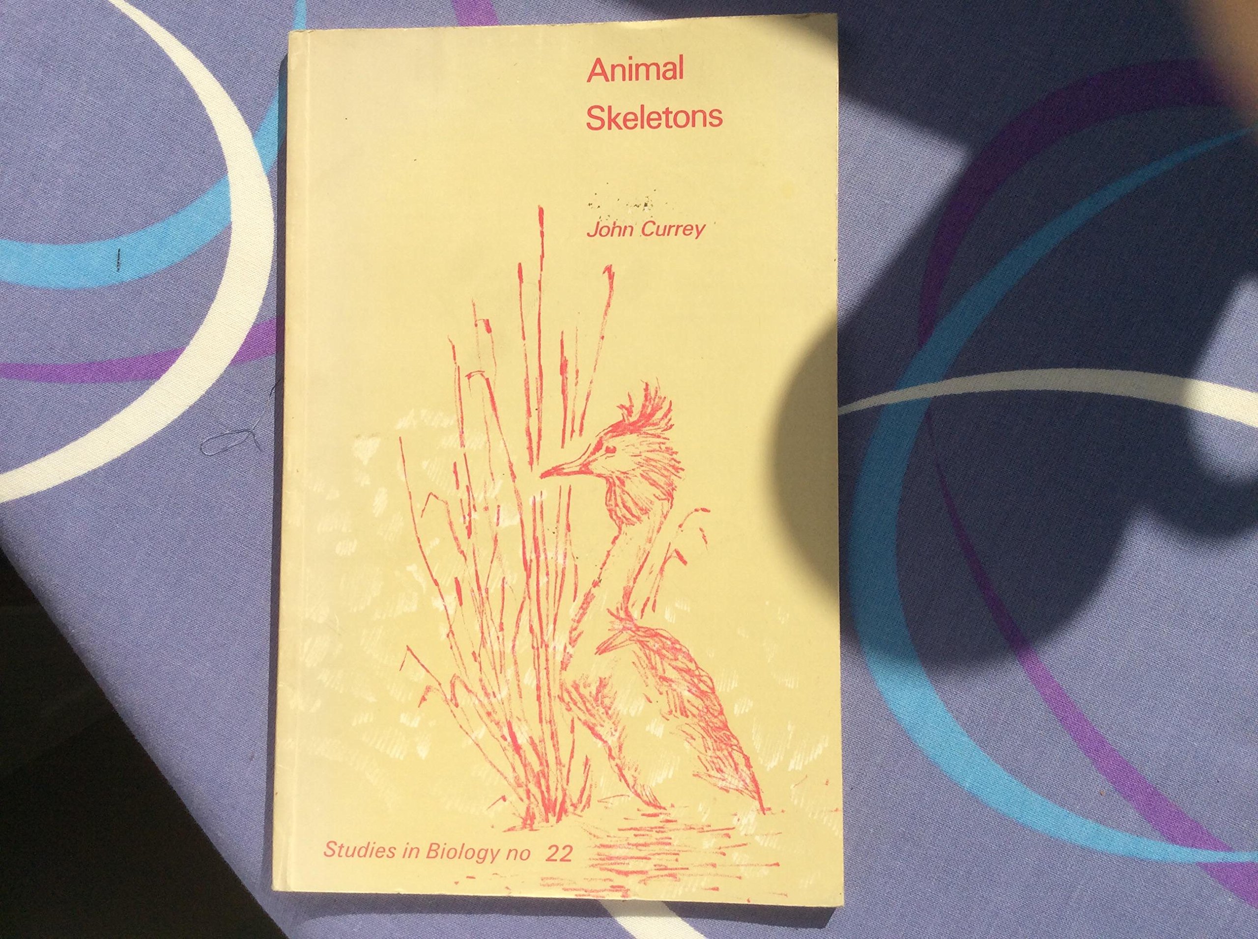 ANIMAL SKELETONS (STUDIES IN BIOLOGY)