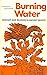 Burning Water: Thought and Religion in Ancient Mexico