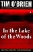 IN THE LAKE OF THE WOODS