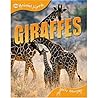 Animal Lives: (8 - Set) Second Series (QEB Animal Lives: Bees & Wasps, Orangutans, Eagles, Alligators & Crocodiles, Tortoises & Turtles, Giraffes, Sharks, Bears)