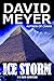 Ice Storm: 2 (Cy Reed Adventure) by Meyer, David (2013) Paperback