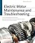 Electric Motor Maintenance ...