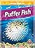 Puffer Fish