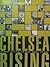 Chelsea Rising by David S. Rubin