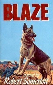 Blaze (Paperback)