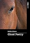 Ghost Poetry Ghost Poetry