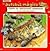 El Autobus Magico Siente Un Inquietante Hormigueo: Un Libro Sobre Las Hormigas (El Autobus Magico / the Magic School Bus) (Spanish Edition) by Joanna Cole (1996-02-03)