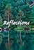 Reflections Volume 2: Day 91-180