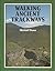 Walking Ancient Trackways