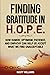Finding Gratitude in H.O.P.E.: How Humor, Optimism, Patience, and Empathy Can Help Us Accept What We Find Unacceptable