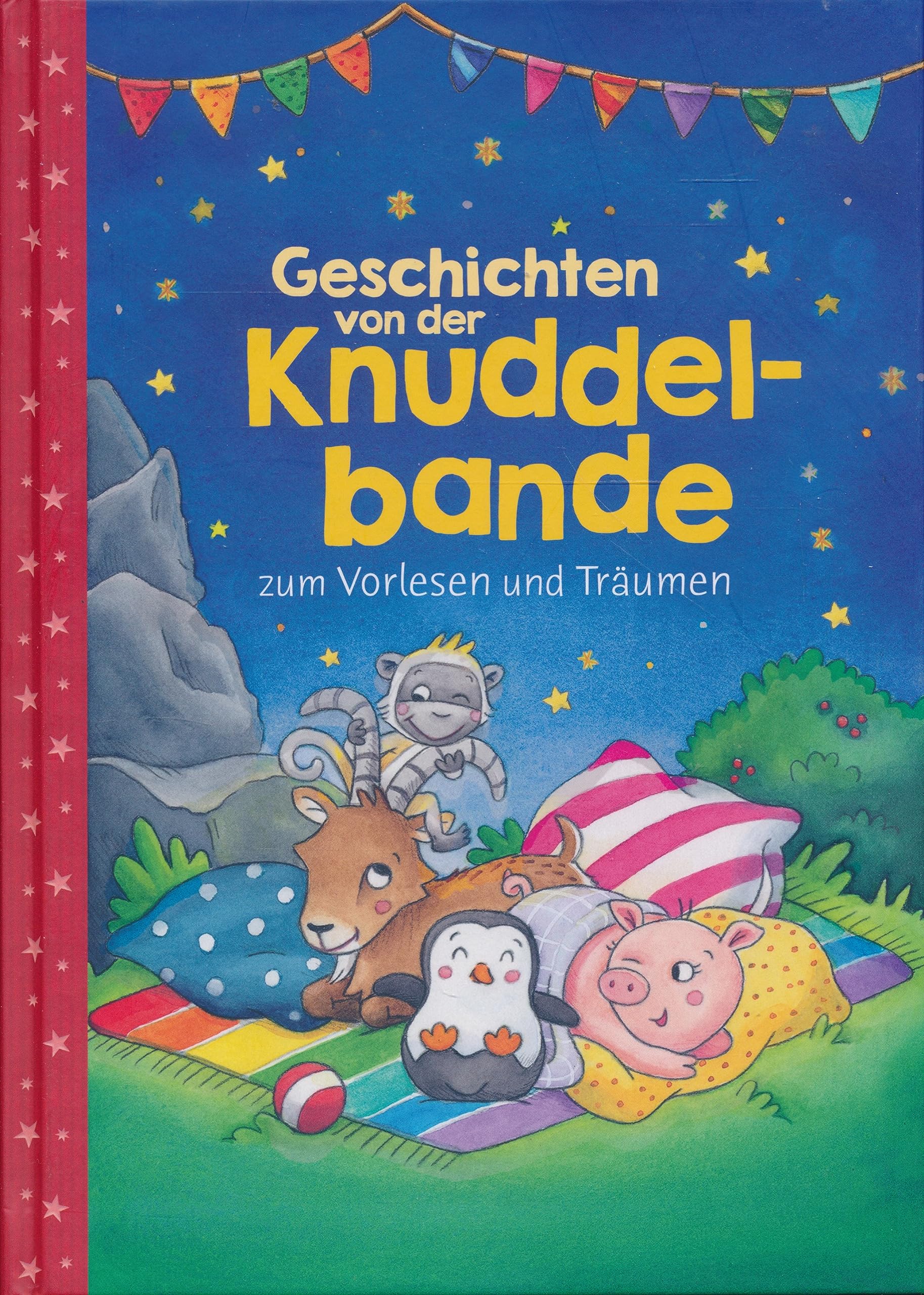 Vorlesegeschichten: Geschichten von der Knuddelbande (Hardcover)